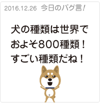 犬の種類は世界でおよそ８００種類!すごい種類だね!