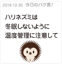 ハリネズミは冬眠しないように温度管理に注意して
