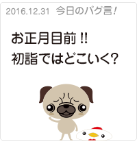 お正月目前!!初詣ではどこいく？