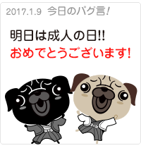 今日は成人の日！おめでとうございます！
