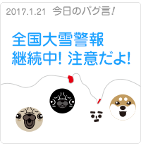 全国大雪警報継続中！注意だよ！