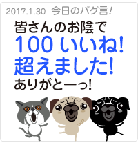 皆さまのお陰で100いいね！超えました！ありがとう！