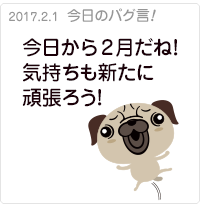 今日から2月だね！気持ちも新たに頑張ろう！