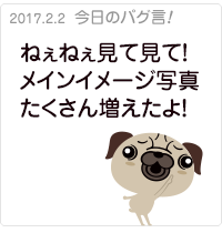 ねぇねぇ見て見て！メインイメージ写真たくさん増えたよ！