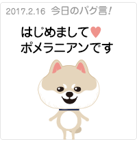 はじめまして♥ポメラニアンです。