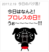 今日はなんと！プロレスの日！うおーっ！！