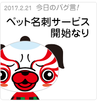ペット名刺開始