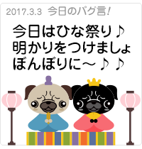 今日はひな祭り♪明かりをつけましょぼんぼりに〜♪♪