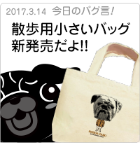 散歩用小さいバッグ新発売だよ！！
