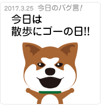 今日は散歩にゴーの日！！