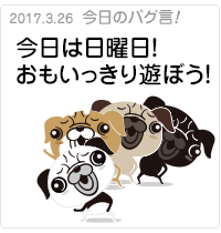 今日は日曜日！おもいっきり遊ぼう！