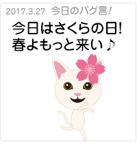 今日はさくらの日！春よもっと来い♪