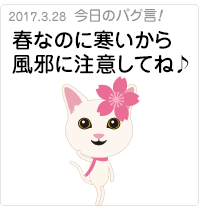 春なのに寒いから風邪に注意してね♪