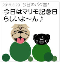 今日はマリモ記念日らしいよ〜ん♪