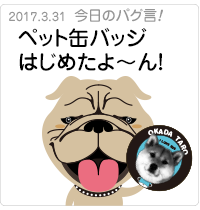 ペット缶バッジはじめたよ〜ん！