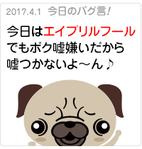 今日はエイプリルフール。でもボク嘘嫌いだから嘘つかないよ〜ん♪
