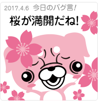 桜が満開だね！