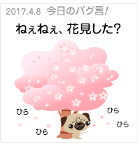ねぇねぇ、花見した？