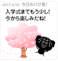  入学式までもう少し！今から楽しみだね！