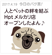 人とペットの絆を結ぶ Hpt メルカリ店オープンしたよん♪