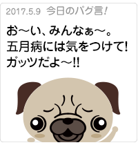 お〜い、みんなぁ〜。五月病には気をつけて！ガッツだよ〜！！