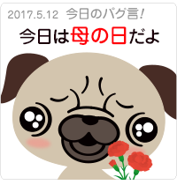 今日は母の日だよ
