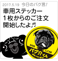 車用ステッカー1枚からの注文開始したよ