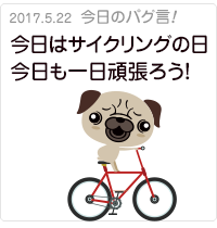 今日はサイクリングの日今日も一日頑張ろう！