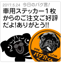 車用ステッカー1枚からのご注文ご好評だよ！ありがとう！！