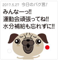 みんなーっ！！運動会頑張ってね！！水分補給も忘れずに！！