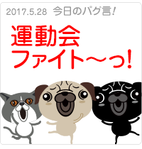 運動会ファイト〜っ！！