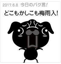 どこもかしこも梅雨入り