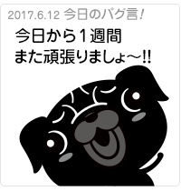 今日から1週間また頑張りましょう！