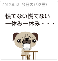 慌てない慌てない一休み一休み・・・
