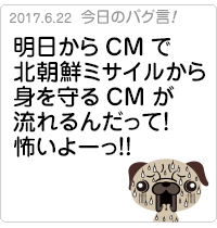 明日からCMで北朝鮮ミサイルから身を守るCMが流れるんだって！怖いよーっ！！