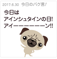 今日はアインシュタインの日！アイーーーーーーン！！