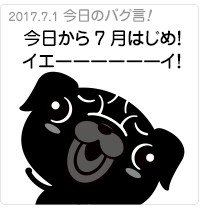 今日から7月はじめ！イエーイ！！
