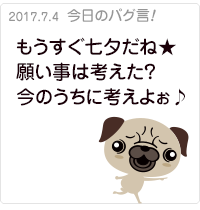 もうすぐ七夕だね★願い事は考えた？今のうちに考えよぉ♪