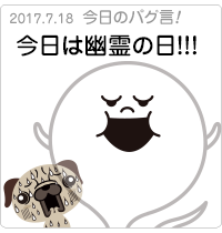 今日は幽霊の日！！