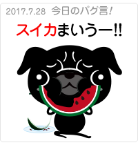 スイカまいうー