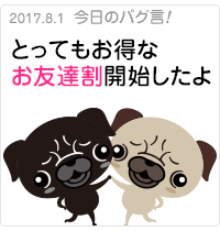 とってもお得なお友達割開始したよ