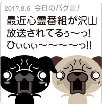 最近心霊番組が沢山放送されてるぅ〜っ！ひぃぃぃ〜〜〜〜っ！！