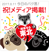 祝！メディア掲載！