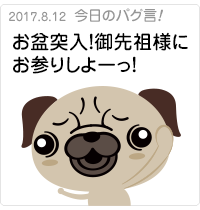 お盆突入！御先祖様にお参りしよーっ！
