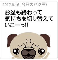 お盆も終わって気持ちを切り替えていこーっ！！