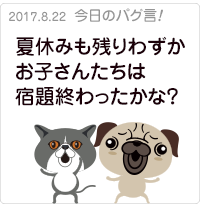 夏休みも残りわずか！お子さんたちは宿題終わったかな？