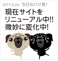 現在サイトをリニューアル中！！微妙に変化中！