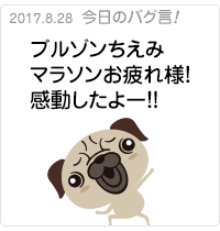 ブルゾンちえみマラソンお疲れ様！感動したよー！！