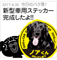 新型車用ステッカー完成したよ！！