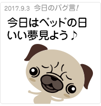 今日はベッドの日。いい夢見よう♪